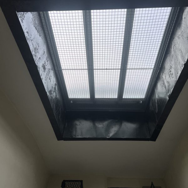 FF Windows and Glass