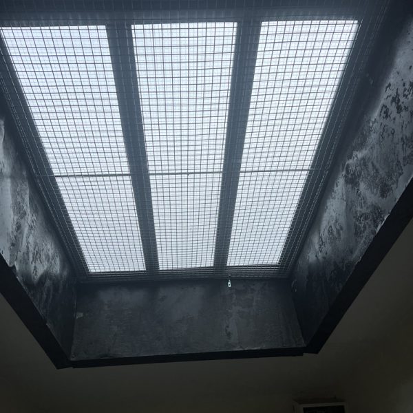 FF Windows and Glass